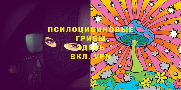 дживик Бугульма